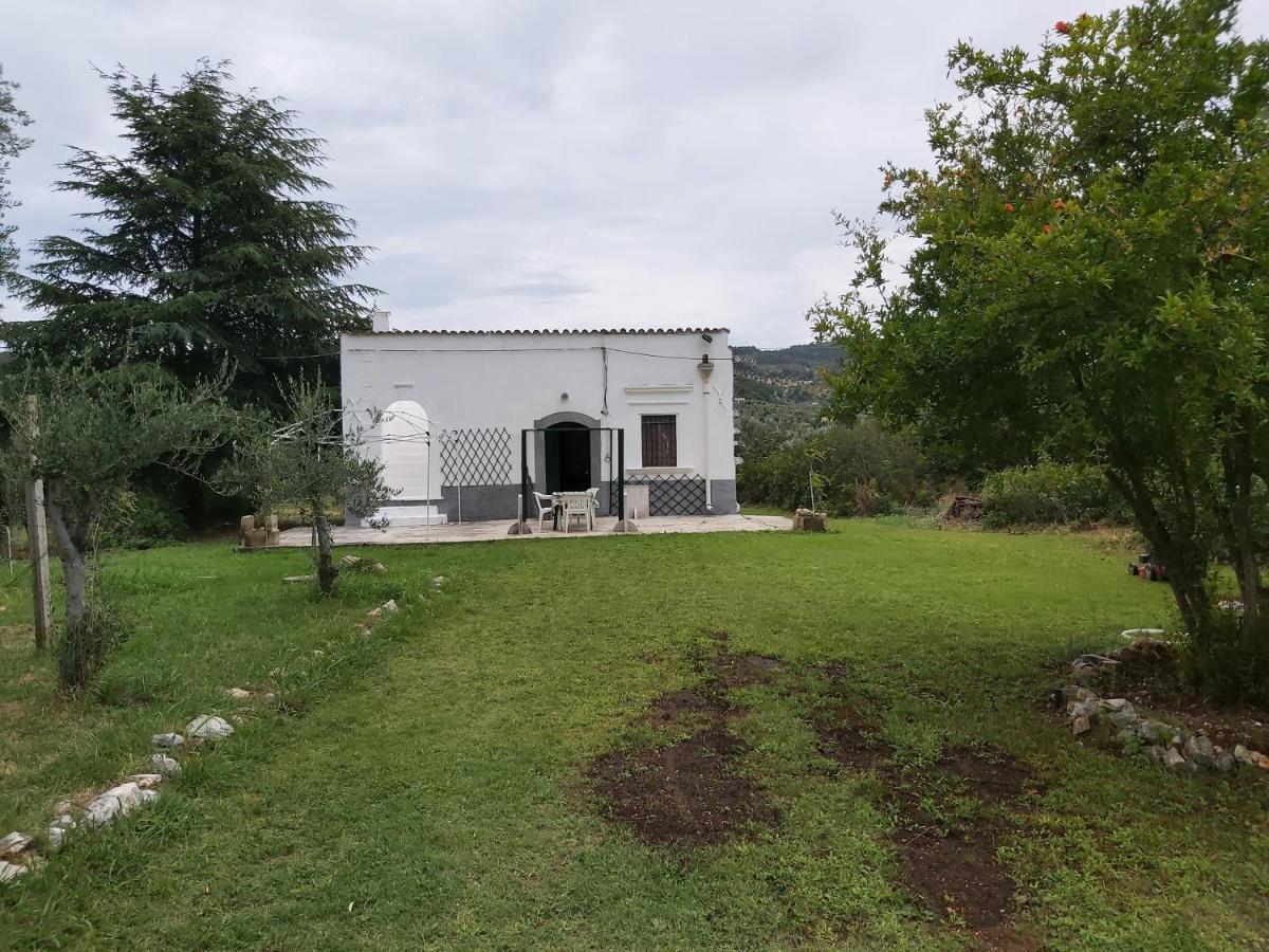 Casa Colonica Di Campagna Come Era Una Volta Peschici Exterior foto